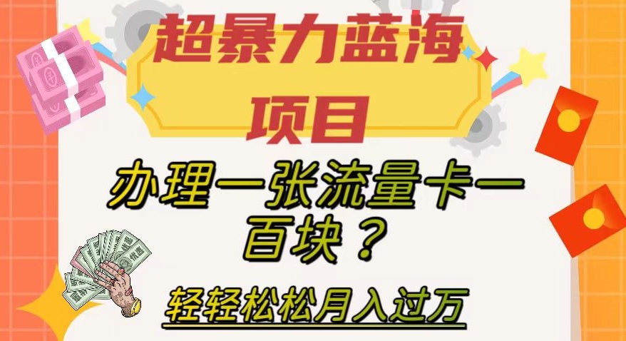 超暴力蓝海项目，办理一张流量卡一百块？轻轻松松月入过万，保姆级教程