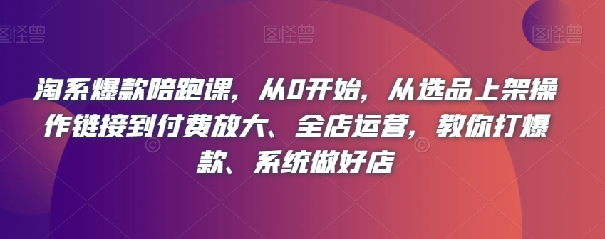 淘系爆款陪跑课，从0开始，从选品上架操作链接到付费放大、全店运营，教你打爆款、系统做好店_80楼网创