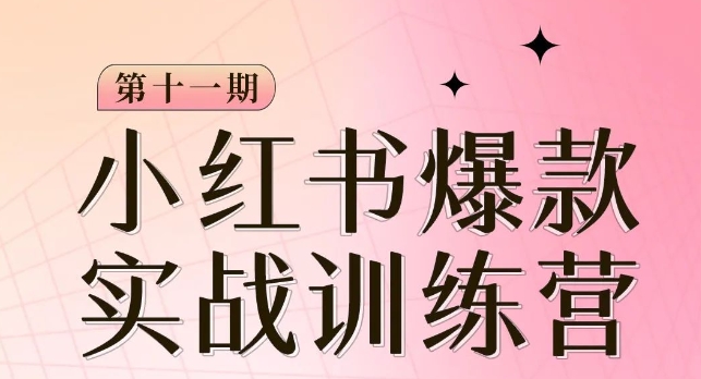 小红书博主爆款训练营第11期，手把手教你从0-1做小红书，从定位到起号到变现_80楼网创