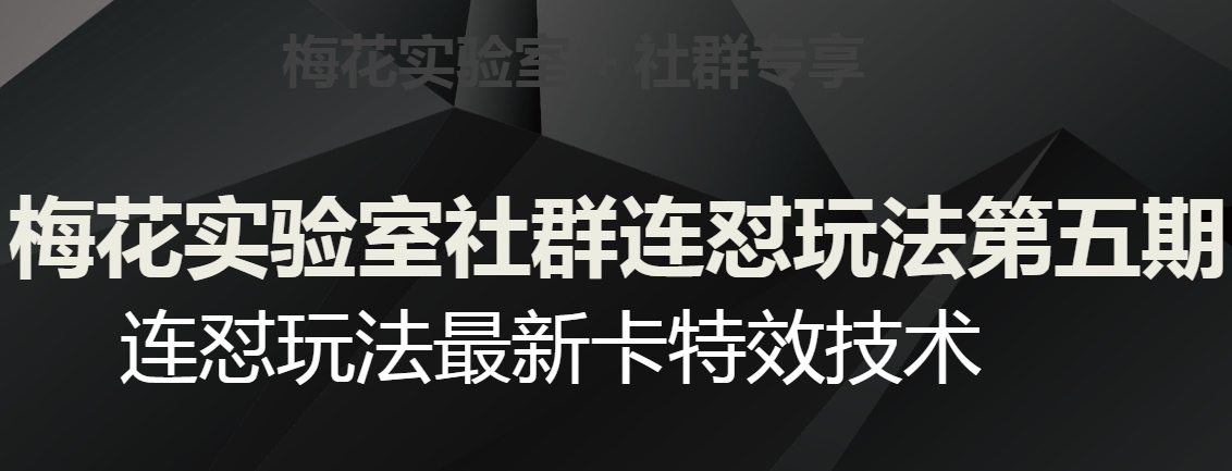 梅花实验室社群连怼玩法第五期，视频号连怼玩法最新卡特效技术_80楼网创