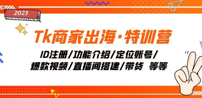 Tk商家出海·特训营：ID注册/功能介绍/定位账号/爆款视频/直播间搭建/带货_80楼网创