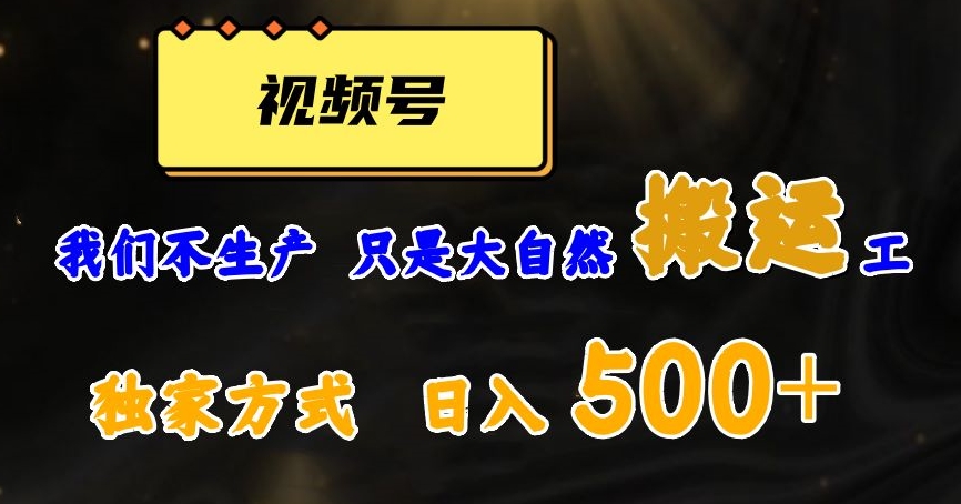 视频号轻松搬运日赚500+，一个1分钟1条原创视频_80楼网创