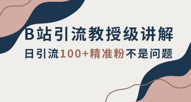 B站引流教授级讲解，细节满满，日引流100+精准粉不是问题_80楼网创