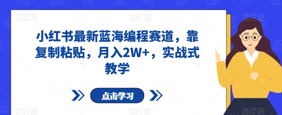 小红书最新蓝海编程赛道，靠复制粘贴，月入2W+，实战式教学_80楼网创