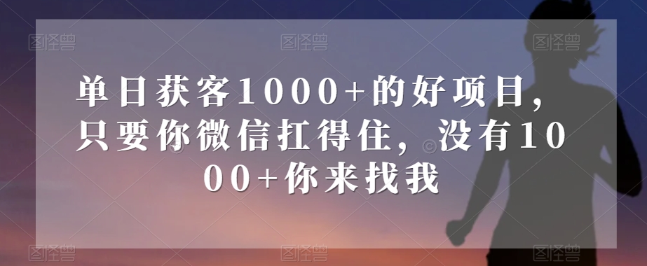 单日获客1000+的好项目，只要你微信扛得住，没有1000+你来找我_80楼网创