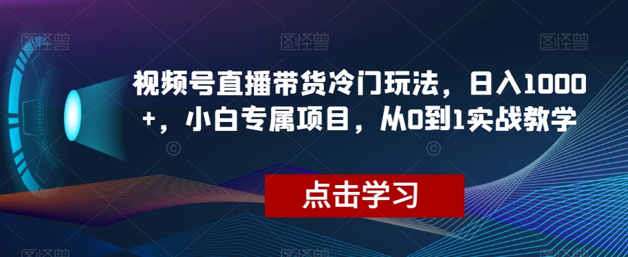 视频号直播带货冷门玩法，日入1000+，小白专属项目，从0到1实战教学_80楼网创