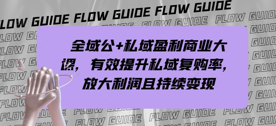 全域公+私域盈利商业大课，有效提升私域复购率，放大利润且持续变现_80楼网创