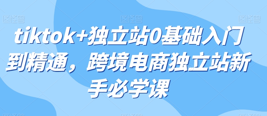 tiktok+独立站0基础入门到精通，跨境电商独立站新手必学课_80楼网创