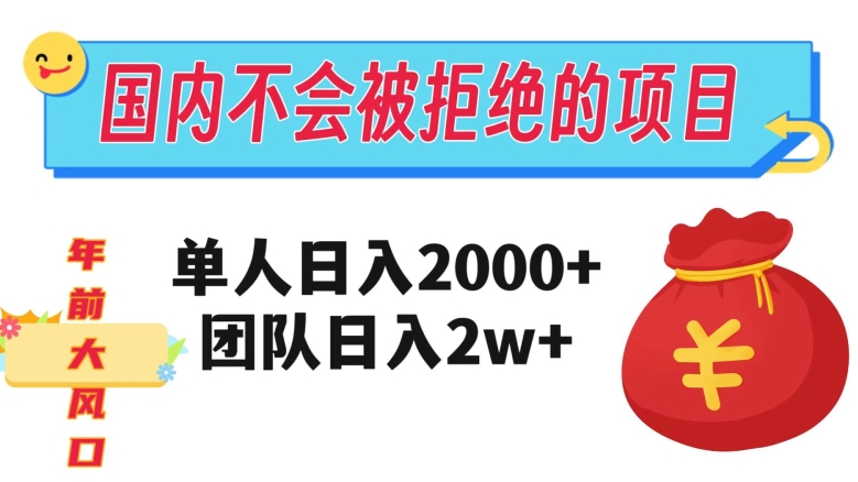 在国内不怕被拒绝的项目，单人日入2000，团队日入20000+_80楼网创