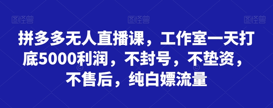 拼多多无人直播课，工作室一天打底5000利润，不封号，不垫资，不售后，纯白嫖流量_80楼网创