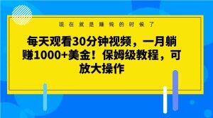 每天观看30分钟视频，一月躺赚1000+美金！保姆级教程，可放大操作_80楼网创