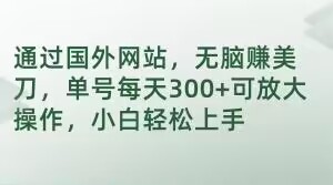 通过国外网站，无脑赚美刀，单号每天300+可放大操作，小白轻松上手_80楼网创