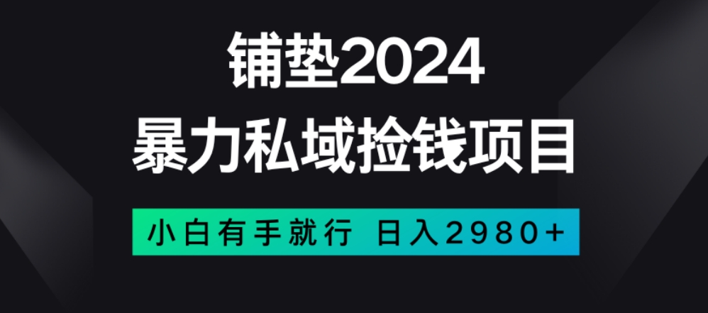 暴力私域捡钱项目，小白无脑操作，日入2980_80楼网创