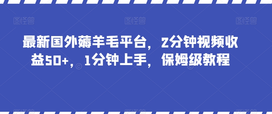 最新国外薅羊毛平台，2分钟视频收益50+，1分钟上手，保姆级教程_80楼网创