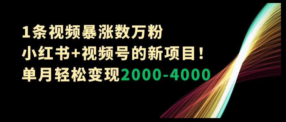 1条视频暴涨数万粉–小红书+视频号的新项目！单月轻松变现2000-4000_80楼网创