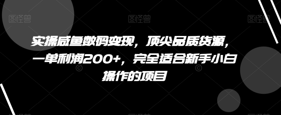 实操咸鱼数码变现，顶尖品质货源，一单利润200+，完全适合新手小白操作的项目_80楼网创