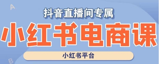 小红书电商高级运营课程，实操教学+案例分析_80楼网创