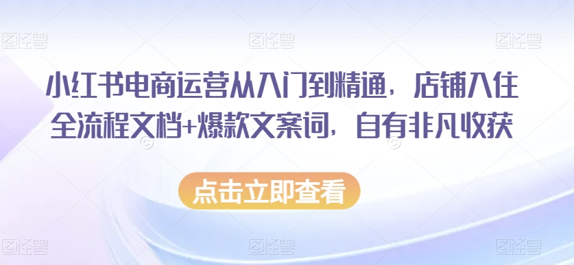 小红书电商运营从入门到精通，店铺入住全流程文档+爆款文案词，自有非凡收获_80楼网创