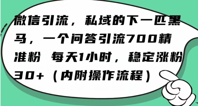 怎么搞精准创业粉？微信新赛道，每天一小时，利用Ai一个问答日引100精准粉_80楼网创