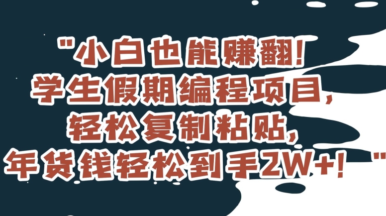 小白也能赚翻！学生假期编程项目，轻松复制粘贴，年货钱轻松到手2W+_80楼网创