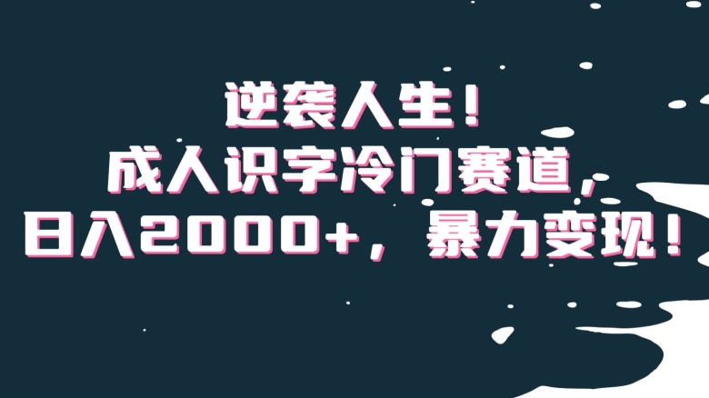 逆袭人生！成人识字冷门赛道，日入2000+，暴力变现！_80楼网创