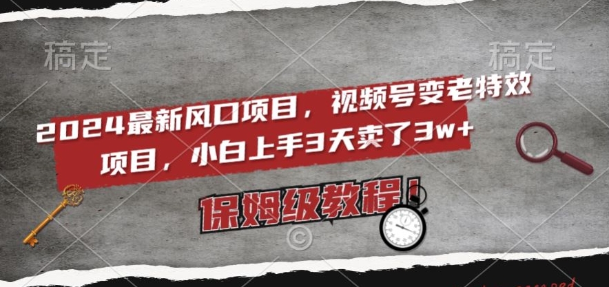 2024最新风口项目，视频号变老特效项目，电脑小白上手3天卖了3w+，保姆级教程_80楼网创