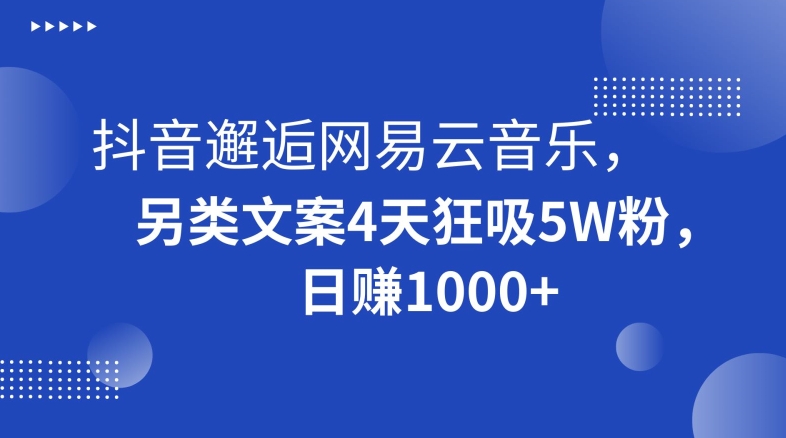 抖音邂逅网易云音乐，另类文案4天狂吸5W粉，日赚1000+_80楼网创