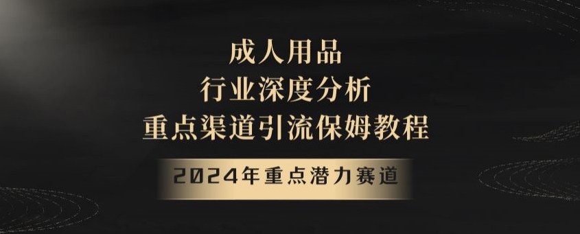 2024年重点潜力赛道，成人用品行业深度分析，重点渠道引流保姆教程_80楼网创