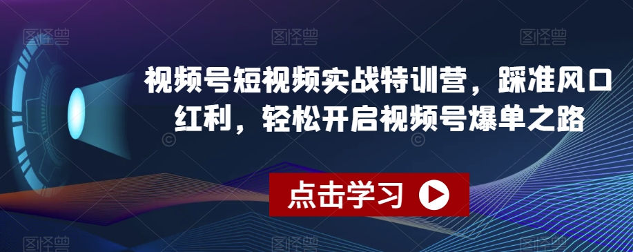 视频号短视频实战特训营，踩准风口红利，轻松开启视频号爆单之路_80楼网创