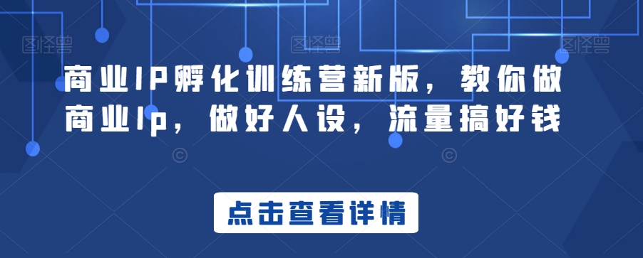 商业IP孵化训练营新版，教你做商业Ip，做好人设，流量搞好钱_80楼网创