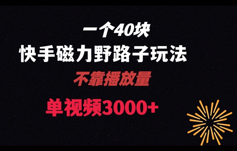 一个40块，快手联合美团磁力新玩法，无视机制野路子玩法，单视频收益4位数_80楼网创