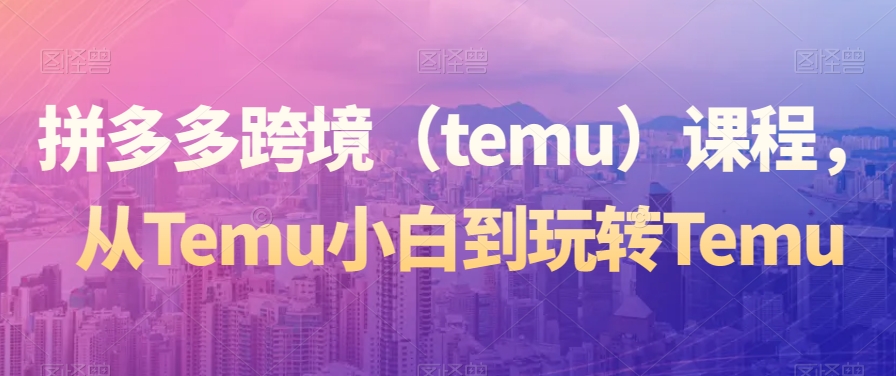 拼多多跨境（temu）课程，从Temu小白到玩转Temu_80楼网创