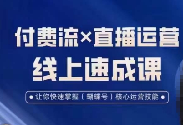 视频号付费流实操课程，付费流✖️直播运营速成课，让你快速掌握视频号核心运营技能_80楼网创