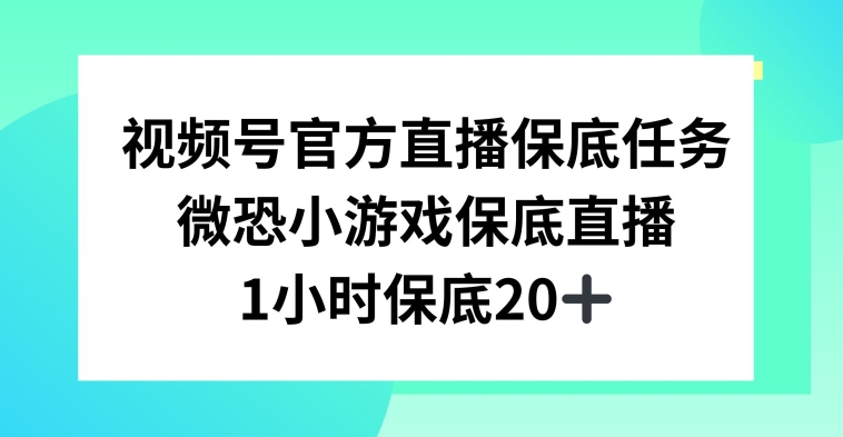 视频号直播任务，微恐小游戏，1小时20+_80楼网创