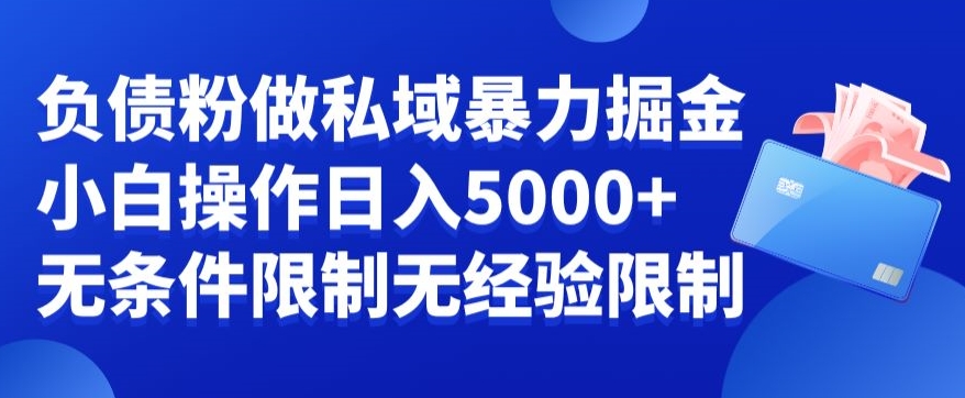 负债粉私域暴力掘金，小白操作入5000，无经验限制，无条件限制_80楼网创