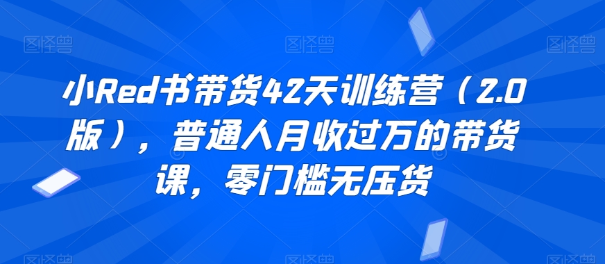 小Red书带货42天训练营（2.0版），普通人月收过万的带货课，零门槛无压货_80楼网创