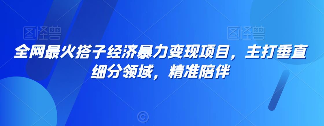 全网最火搭子经济暴力变现项目，主打垂直细分领域，精准陪伴_80楼网创