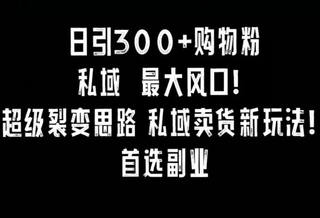 日引300+购物粉，超级裂变思路，私域卖货新玩法，小红书首选副业_80楼网创