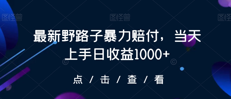 最新野路子暴力赔付，当天上手日收益1000+【仅揭秘】_80楼网创