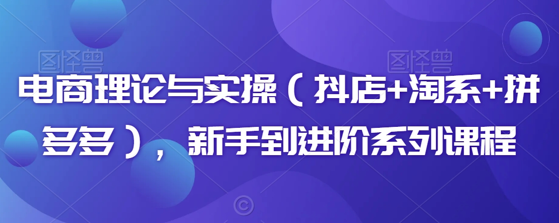 电商理论与实操（抖店+淘系+拼多多），新手到进阶系列课程_80楼网创