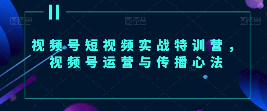 视频号短视频实战特训营，视频号运营与传播心法_80楼网创