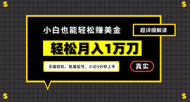 谷歌看广告撸美金2.0，无脑挂机，多号操作，月入1万刀_80楼网创