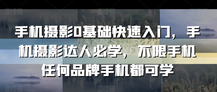 手机摄影0基础快速入门，手机摄影达人必学，不限手机任何品牌手机都可学_80楼网创