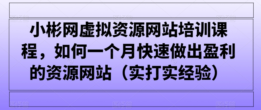 小彬网虚拟资源网站培训课程，如何一个月快速做出盈利的资源网站（实打实经验）_80楼网创