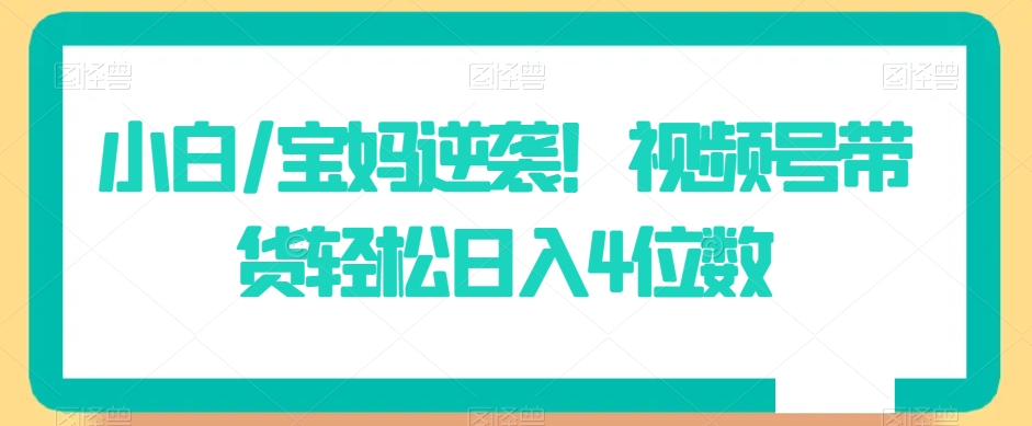 小白/宝妈逆袭！视频号带货轻松日入4位数_80楼网创