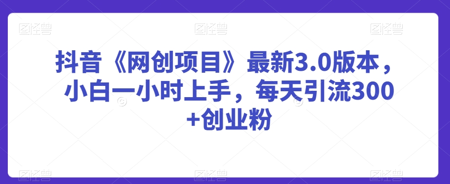 抖音《网创项目》最新3.0版本，小白一小时上手，每天引流300+创业粉_80楼网创