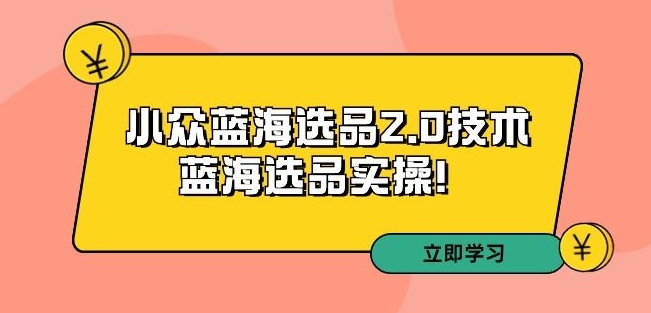 拼多多培训第33期：小众蓝海选品2.0技术-蓝海选品实操！_80楼网创