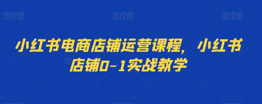 小红书电商店铺运营课程，小红书店铺0-1实战教学_80楼网创