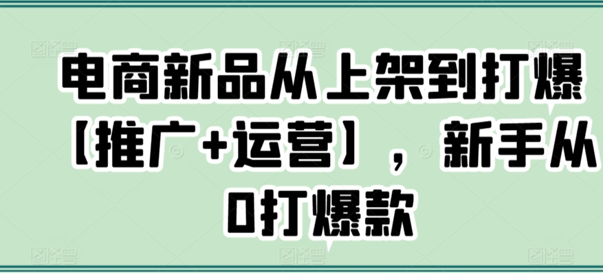 电商新品从上架到打爆【推广+运营】，新手从0打爆款_80楼网创