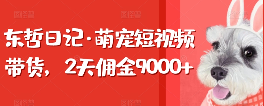 东哲日记·萌宠短视频带货，2天佣金9000+_80楼网创